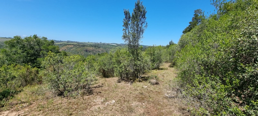  Bedroom Property for Sale in Knysna Rural Western Cape